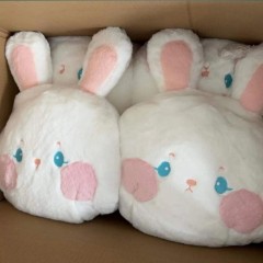 Kawaii Bunny Plushie